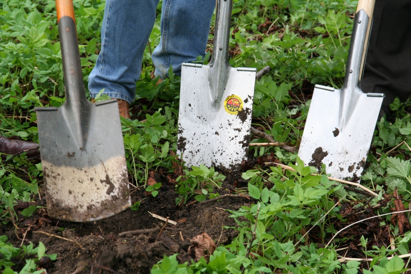 pepiniere-LES MAYONS-min_work-lawn-flower-tool-green-backyard-1103633-pxhere.com